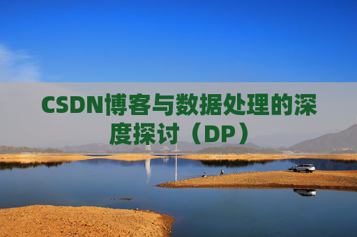CSDN博客与数据处理的深度探讨（DP）